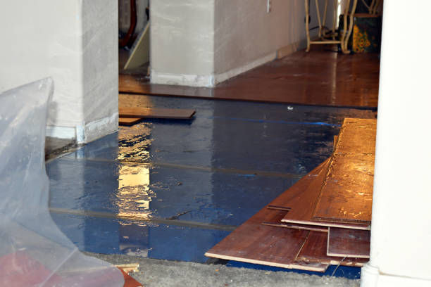 Professional Sewage Cleanup technician working in Reno, TX
